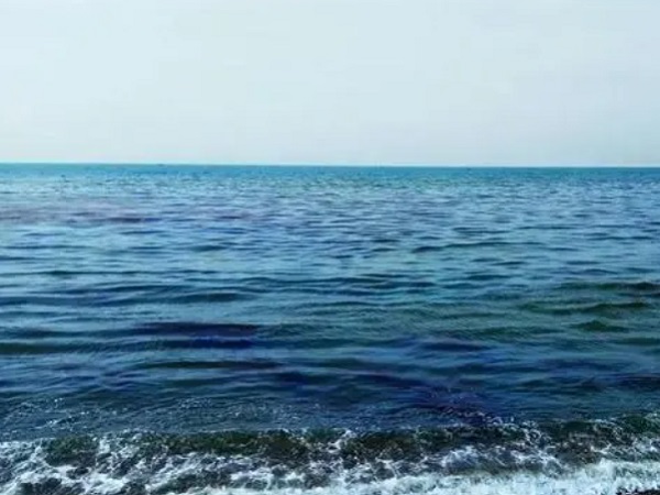 日本核廢水將排海-影響何以估量？